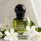 Moroccan Breeze Luxury Fragrance | Fresh & Long-Lasting Perfume
